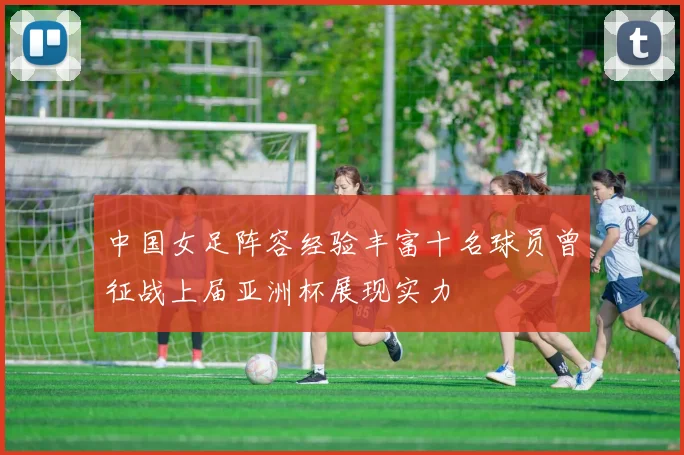 中国女足阵容经验丰富十名球员曾征战上届亚洲杯展现实力